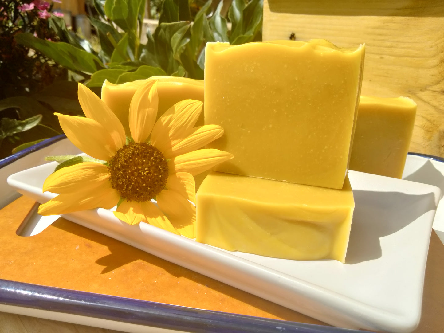 Wild sunflower infused soap.