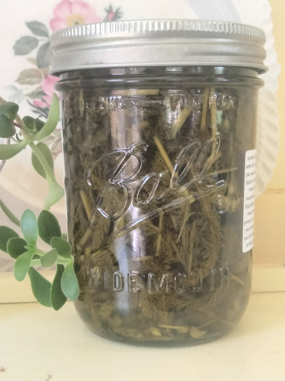 Wildcraftef Yarrow Tincture